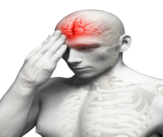 Brain Tumors More Likely in Male than Female Rats