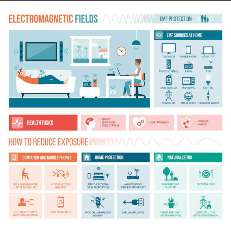 What are EMFs?