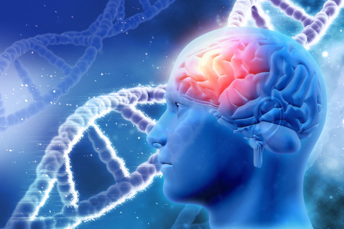 Do Cellphones Cause Cancer?: Understanding Cell Phone Radiation and Cancer