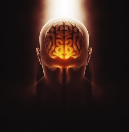 Do Cellphones Cause Brain Cancer or Not?