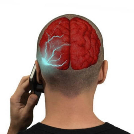 EMF and EMR research on cell phone radiation danger to health