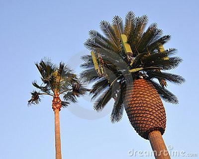 SJ RESIDENTS FIGHT CELLPHONE TOWER PROPOSAL OVER RADIATION CONCERNS